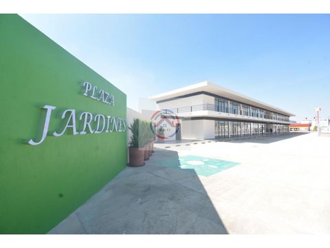 plaza comercial en renta jardines apizaco