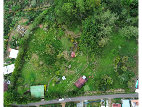finca con vistas en venta palomo de orosi cartago 13445 m2