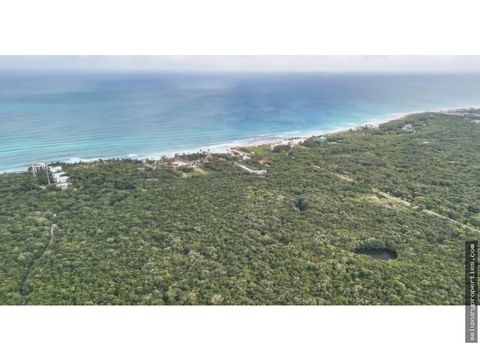 terreno con playa en la mejor ubicacion de la rivera maya