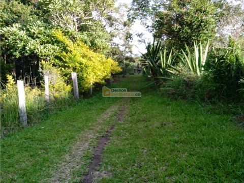 lote 8700m2 vereda florencia popayan