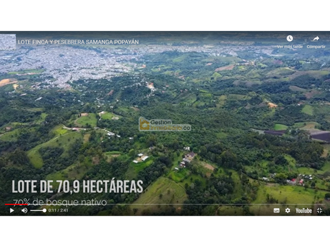 venta finca popayan 709 hectareas