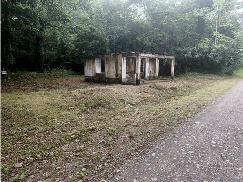 venta de lote gandoca limon