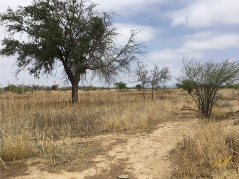 terreno en venta en macuyu coahuila