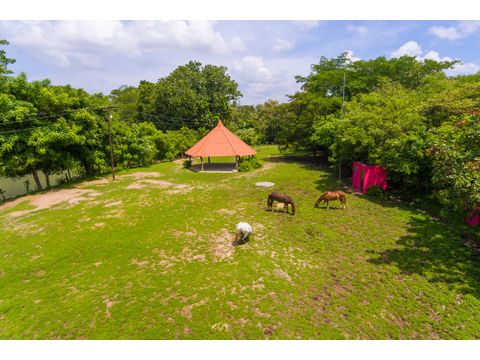 chame horse finca 12 000 sq mt