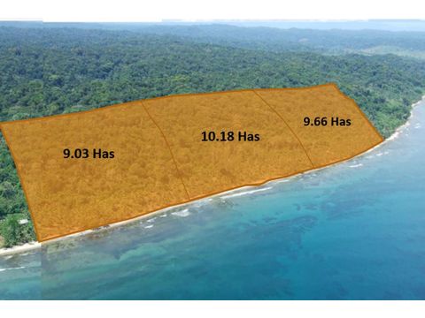 2882 hectareas en 3 parcelas 903has 966has 1018has donoso costa