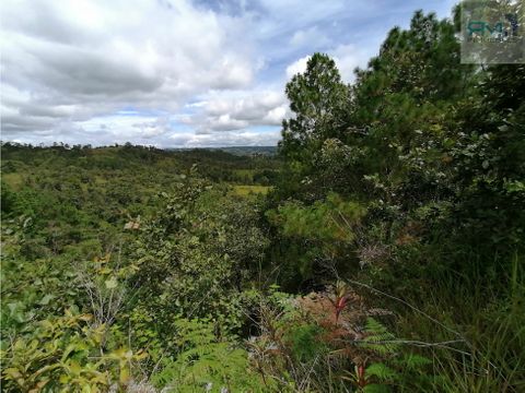 se vende finca en san raymundo