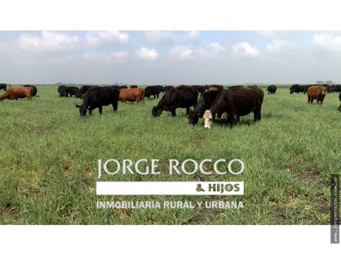 campo en venta en ranchos 69 has mixto