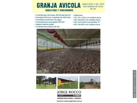 granja avicola en san andres de giles bs as