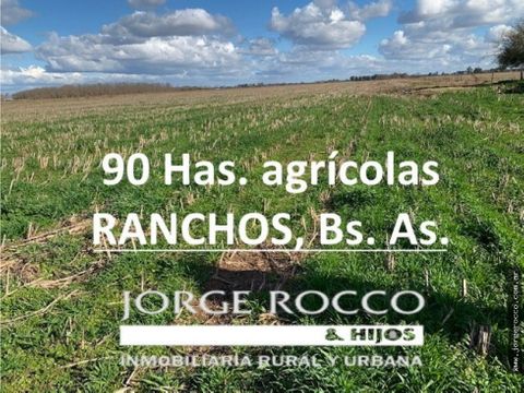 campo en venta en ranchos 90 has agricolas