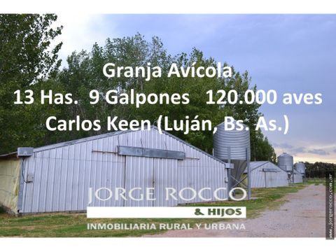 granja avicola en carlos keen lujan para 120000 aves