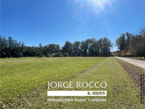 campos de roca 1 lote de 126 has permuta esucha ofertas