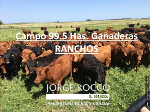 campo en venta en ranchos 99 has ganadero