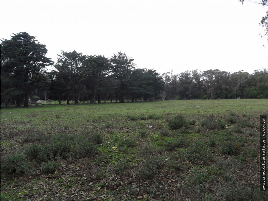 latorre prop vende campo de 4 hectareas con 2 chalet