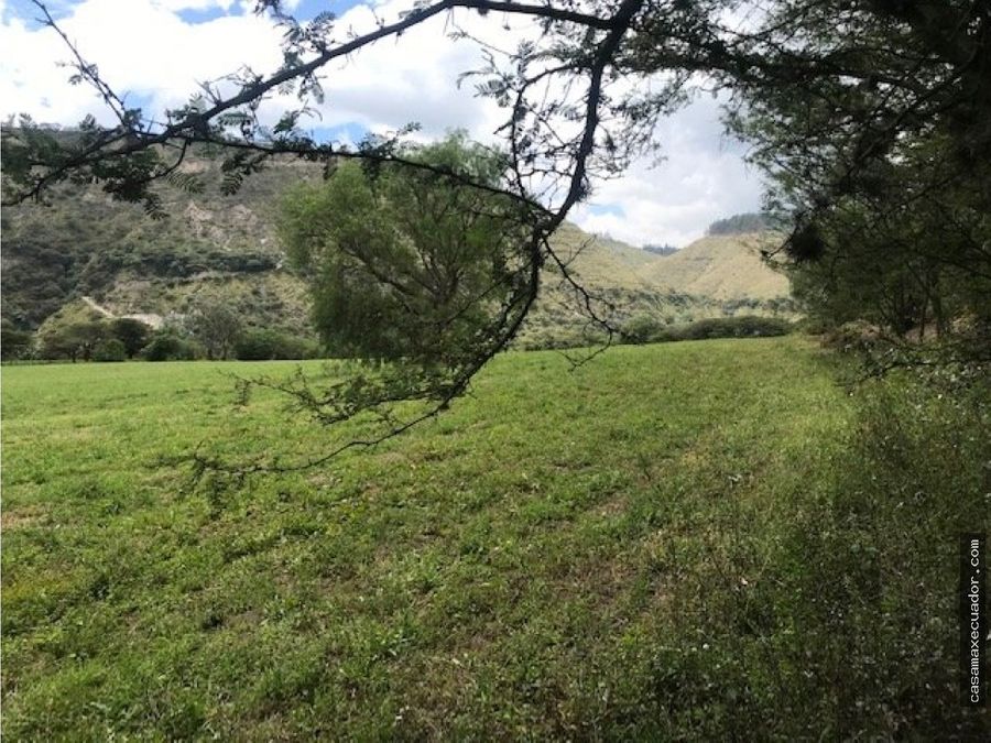 terreno de venta de 50 hectareras en yaruqui