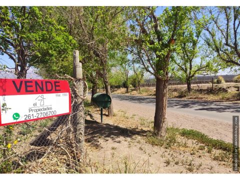 inmobiliaria mendokey vende finca de 85 has en calle lencinas z vistaflores tunuyan mendoza