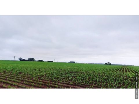 se vende espectacular campo de 32 hectareas en otamendi