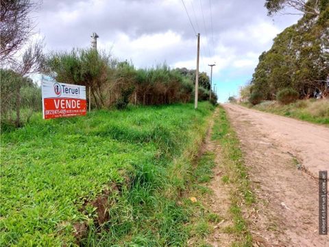 fraccion de lotes de 2 hectareas se venden juntos o individual