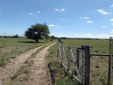 campo en venta de 312 hectareas medanos