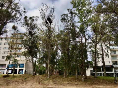 lote multifamiliar hotelero sobre avenida bunge de pinamar