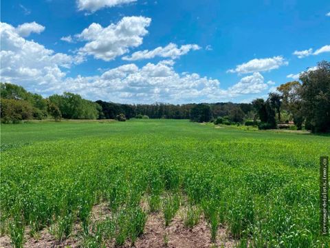 campo de 75 hectareas parceladas en ruta 88