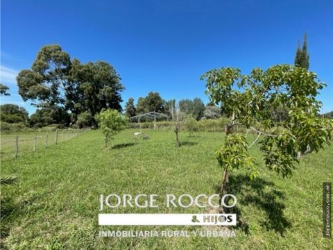 lote rural en gdor obligado brandsen