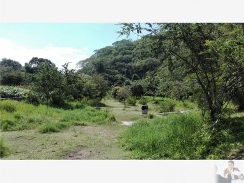 terreno de 35000m2 vista panoramica hacia rio