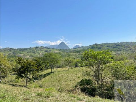 lote en parcelacion privada entre la pintada y tamesis