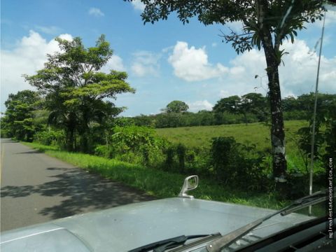 precioso terreno para desarrollo turistico o quinta familiar