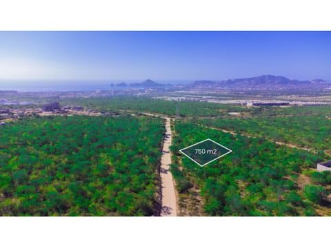 lote condominal con vista tezal cabo san lucas