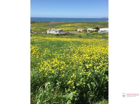 terreno en rosarito