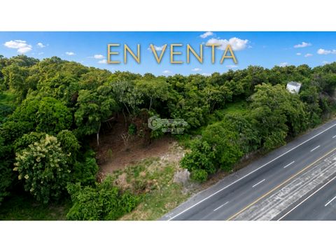 san carlos las uvas 600 m2 terreno plano sobre via principal