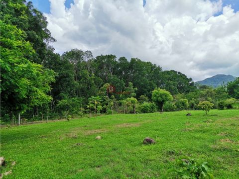 chame finca en bejuco 10 hectareas cerca de la interamericana