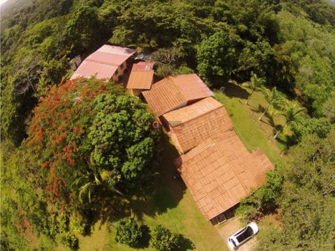 finca en chorrera el lirio 235 hectareas precio negociable