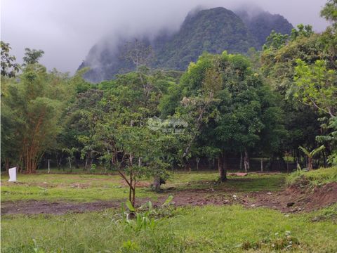 se vende amplio terreno 4449 m2 en cocle el hato con zonas verdes