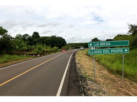 terreno pegado a la via interamericana la mesa de veraguas 25000m2