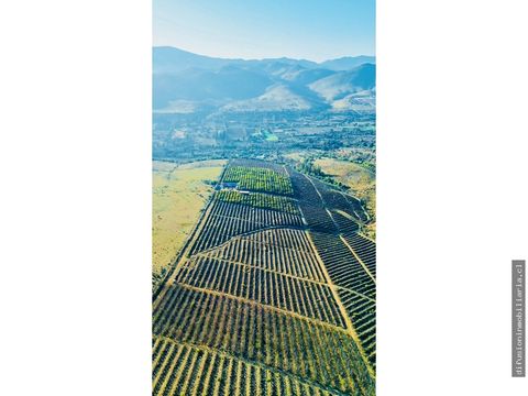nuevo proyecto maiten sur illapel parcelas desde 5000 m2