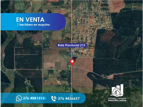 se vende 1 hectarea ruta 213 y lounge