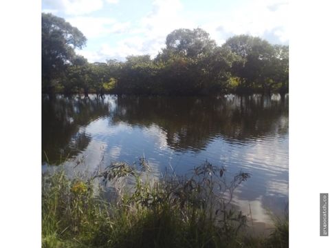 vendo finca puerto lopezllanos