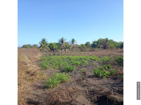 terreno en venta en el pumpo monterrico