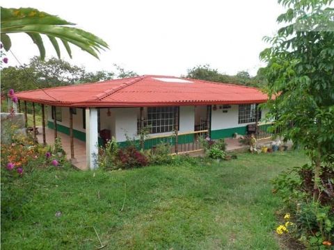 finca cafetera en venta fresno tolima