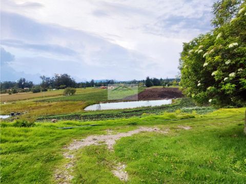 finca en venta subachoque