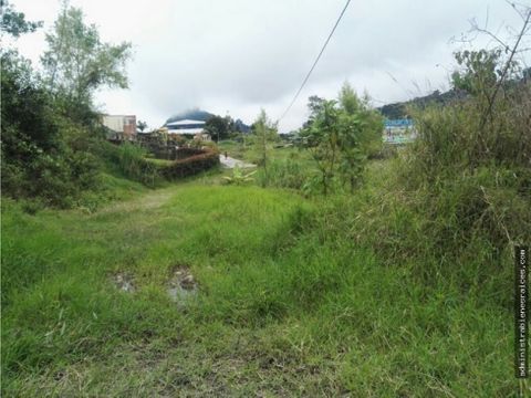 gran lote urbano la florida manizales