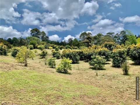 lote en venta en rionegro sector vereda el tablazo