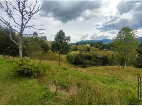 lote en venta en el retiro vereda pantanillo