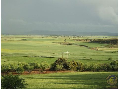 finca de labor en albacete