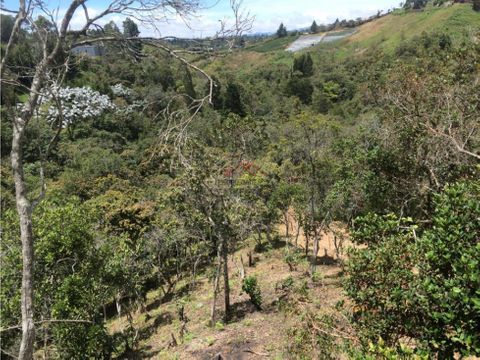 lote en venta con cabana y explanada para casa principal guarne