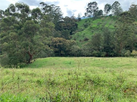 lote en venta en vereda el capiro en rionegro