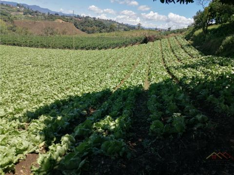 lote con casa campesina en venta vereda chocho mayo marinilla