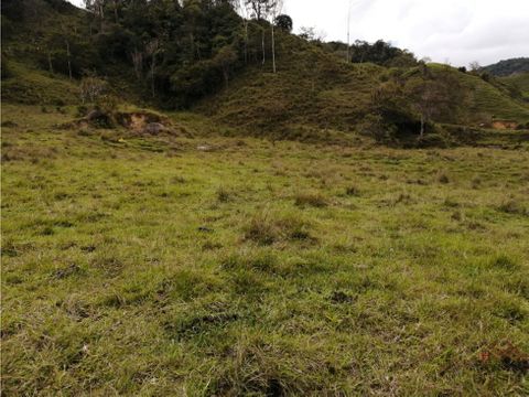 lote en venta vereda tocaima alejandria antioquia