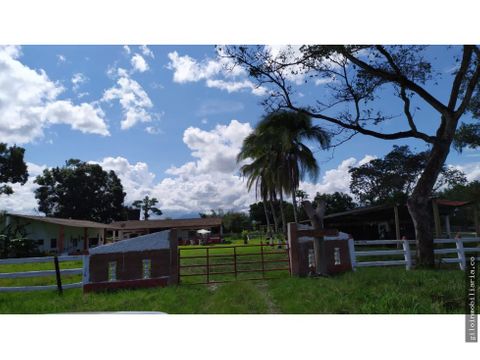 vendo excelente finca san martin meta 36 hectareas